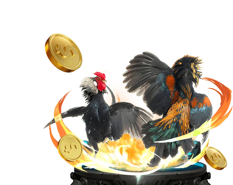 Đá gà cựa sắt f169 casino